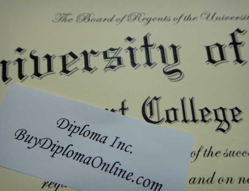 Maryland Diploma – close up